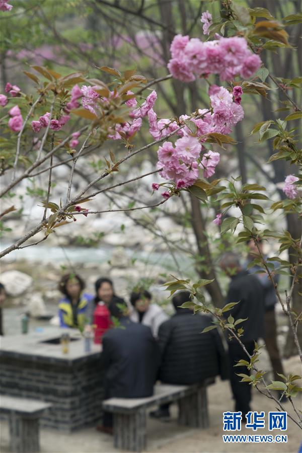 藍芽水月