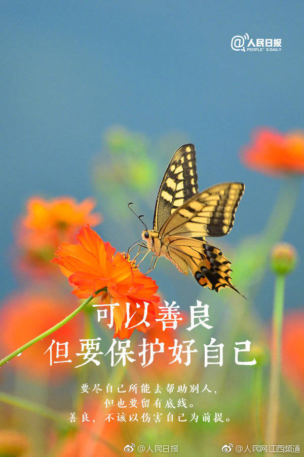 午夜免费视频