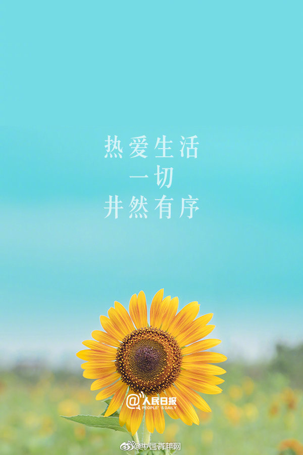 篠田优