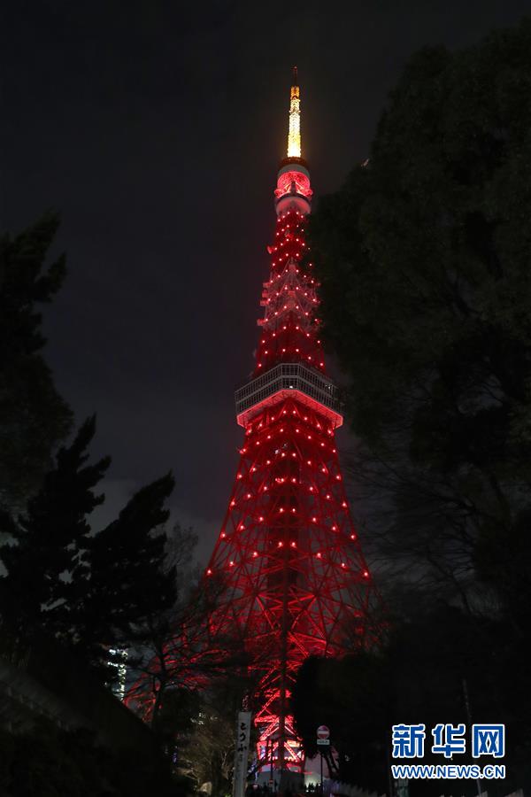 日本家庭大亂鬥