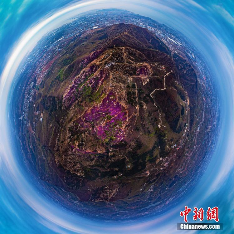 老妇Bbw多毛Hd