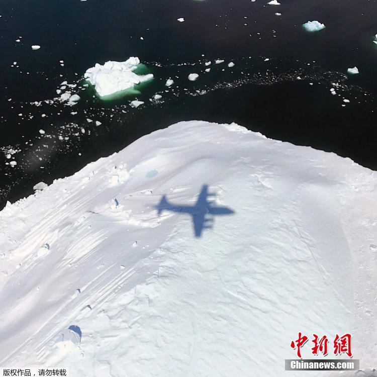 s如何调m小狗表格
