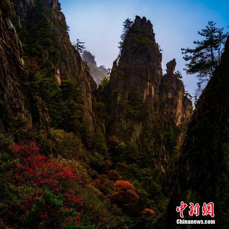 华人黄色网站