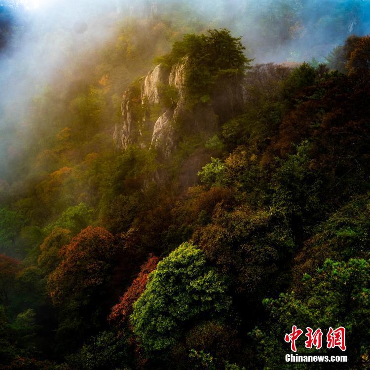 黄片毛片夫妻性生活视频