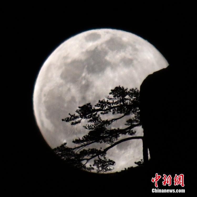 公妇公侵犯波多野结衣