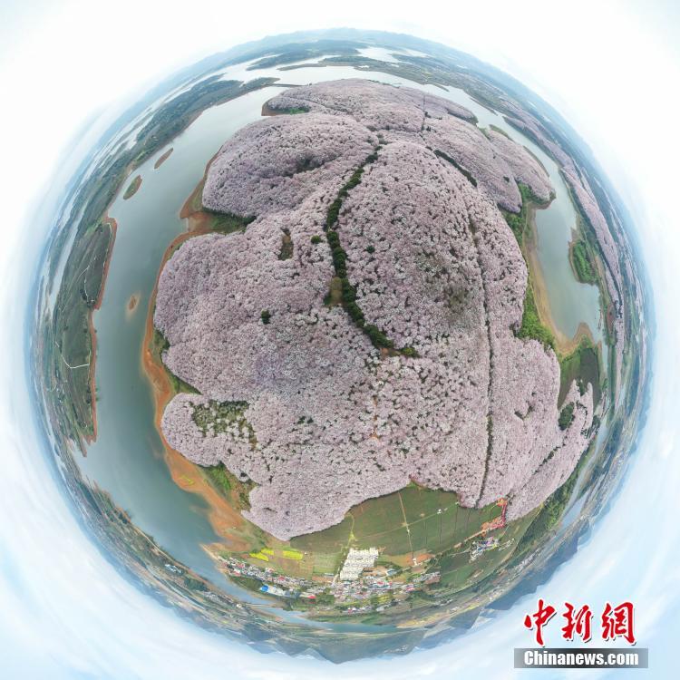 老汉的粗大浓精