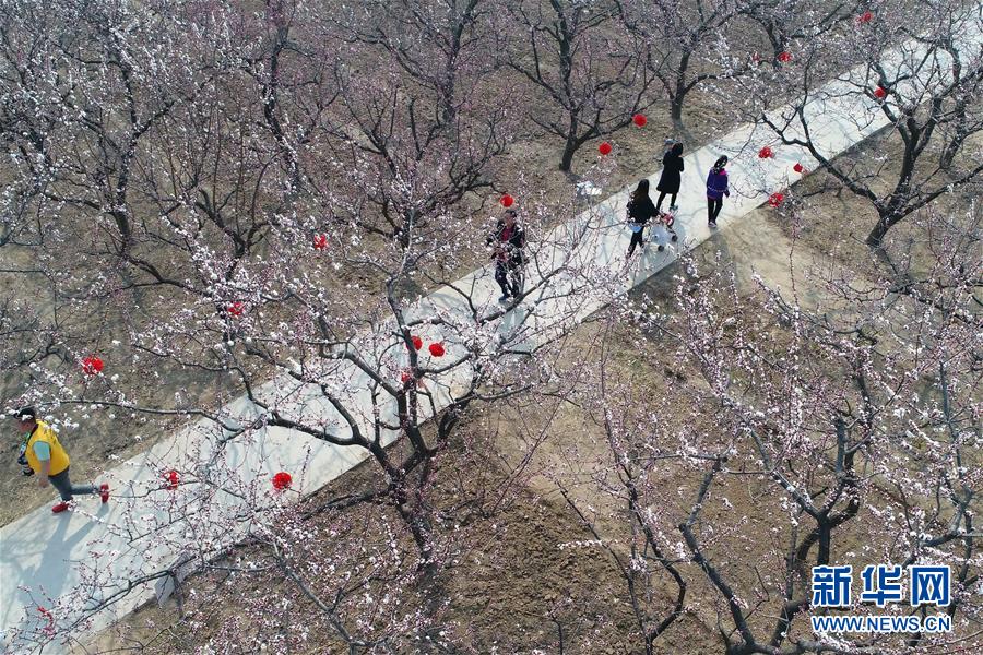 男人把ji大巴放进女人免费图片