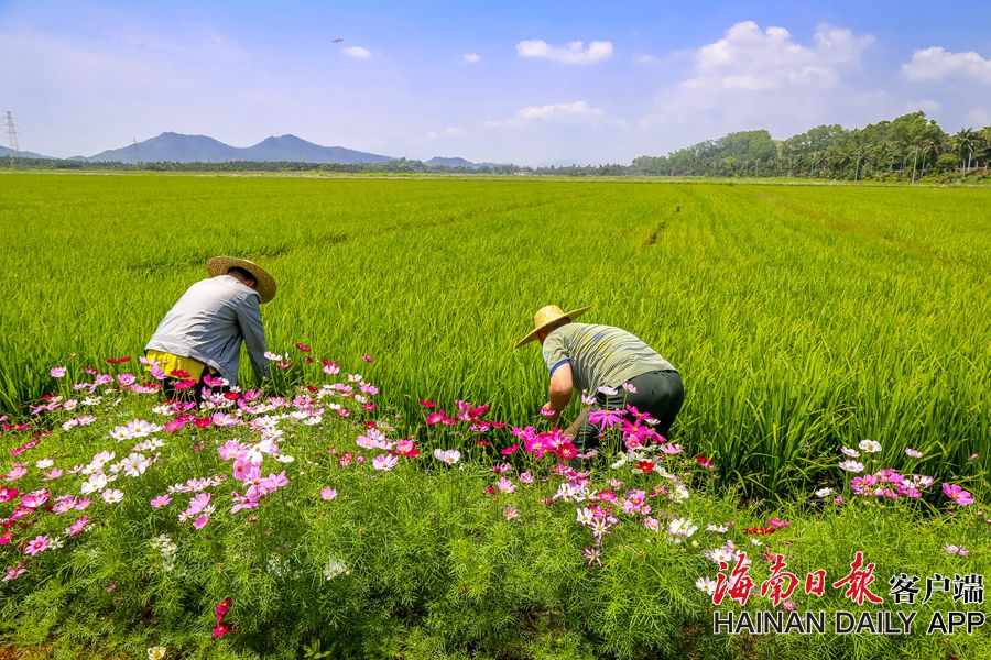 亚洲在线一区