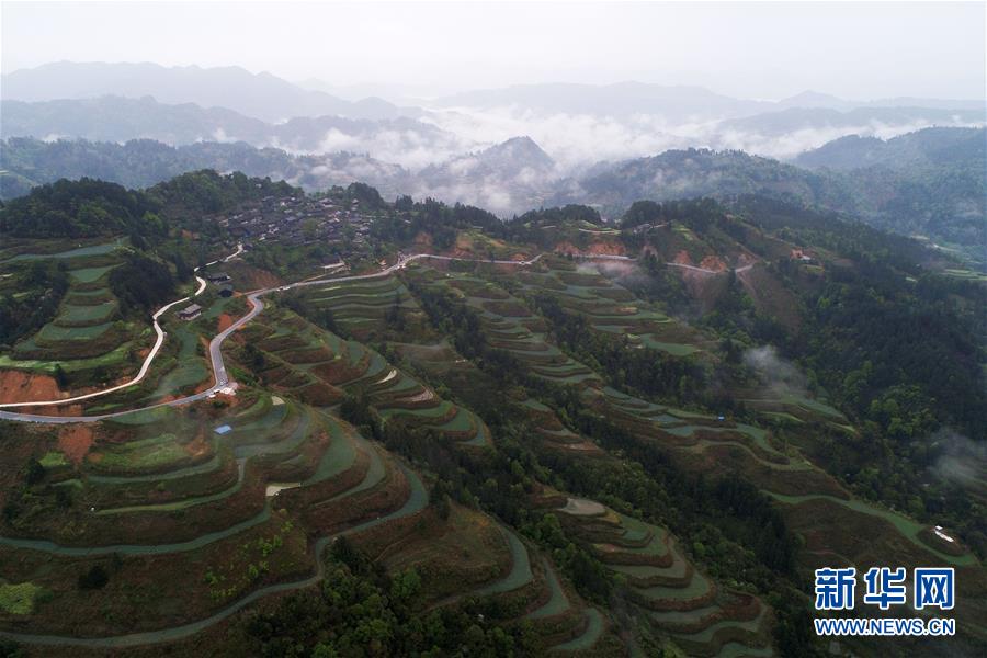 91丨推特丨白浆秘