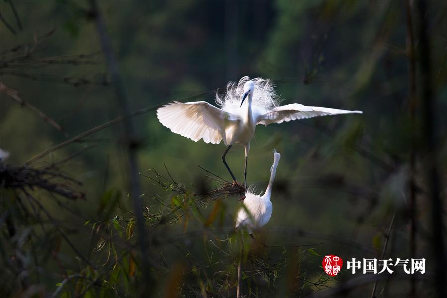 中国性老太Hd大全70