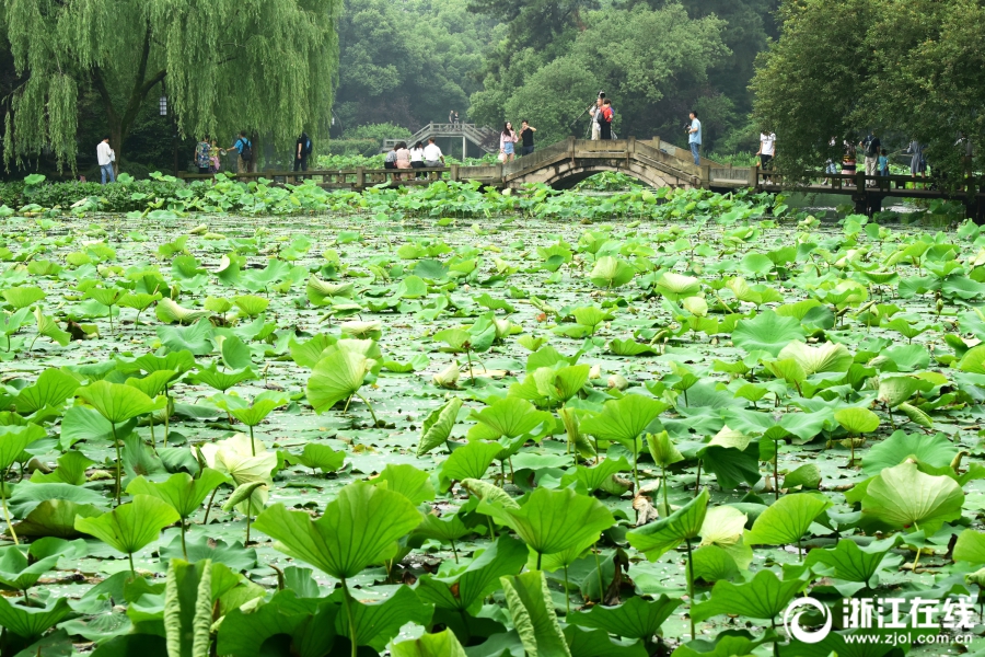 免费无码小黄网站