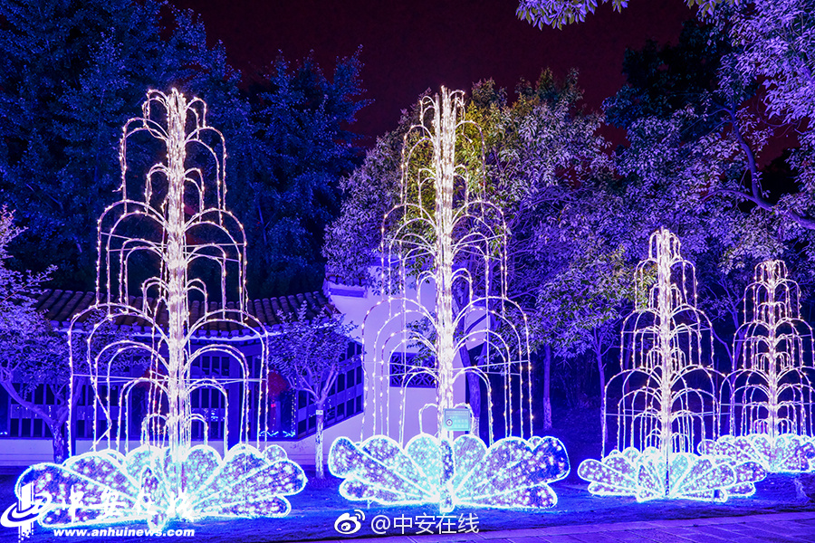 乱性生活无码中字视频