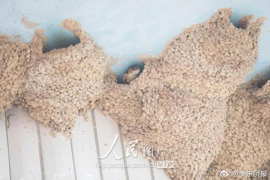 特别黄特别黄性视频