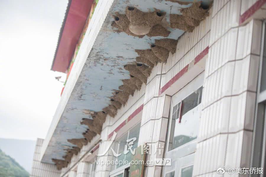 美女张开腿让男生捅