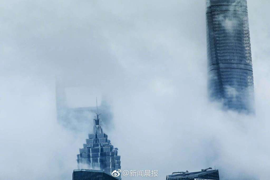 婷婷激情五月