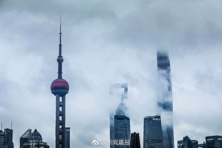 小箩莉末成年毛片
