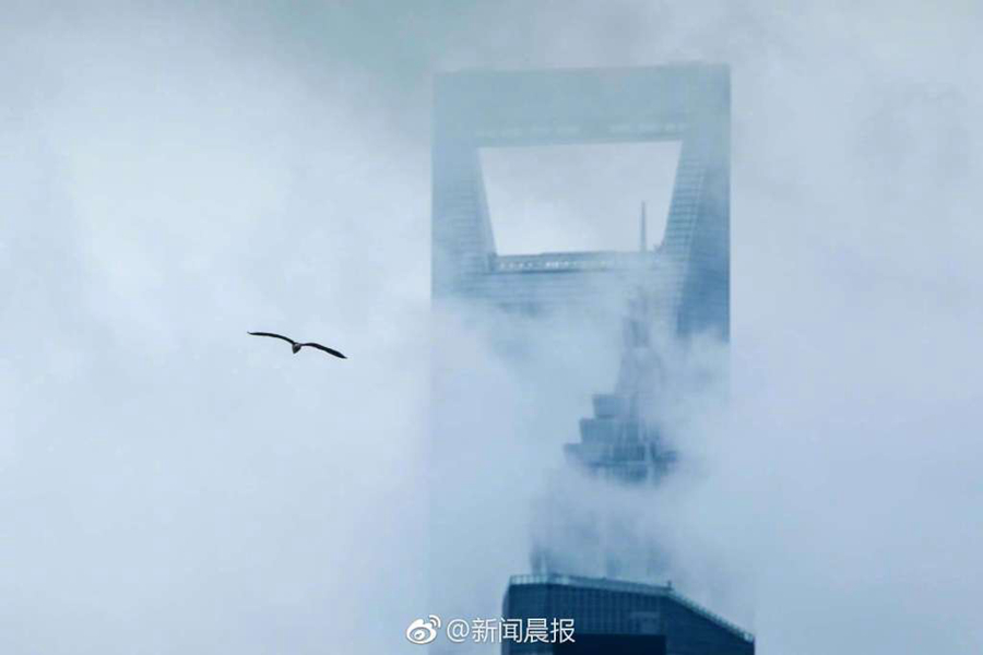 欧美老妇逼逼