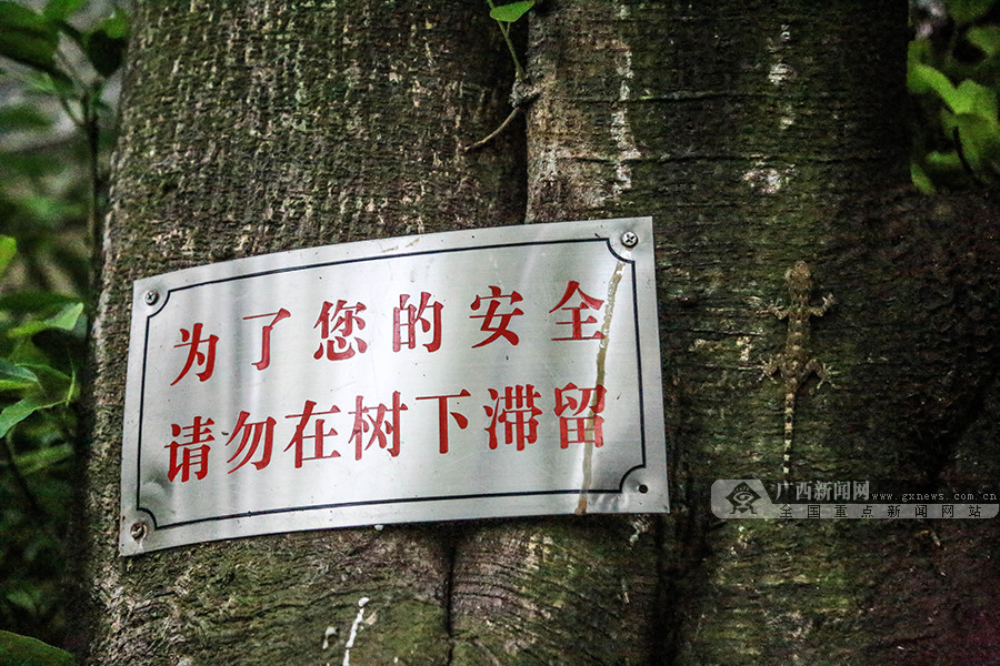 国产一级A片久久久免费看快餐