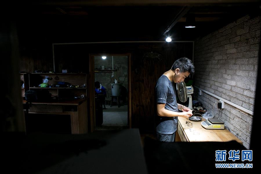 藏獒又硬又粗进去好爽A片免费
