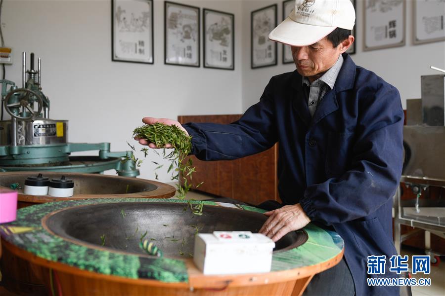 免费观看黄色网站。