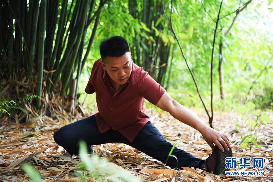 黄色 动漫 网址