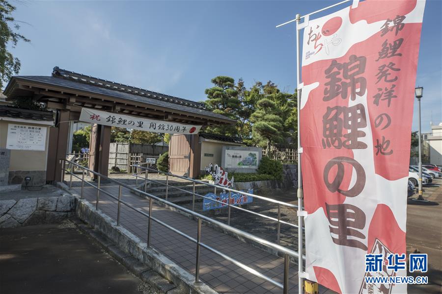 免费嗨片直播网Av