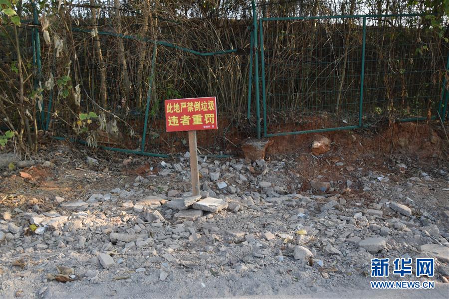 ass粉嫩小泬粉asS