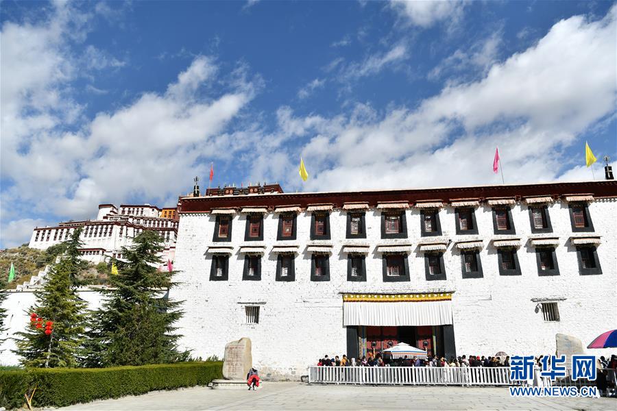 學貓叫