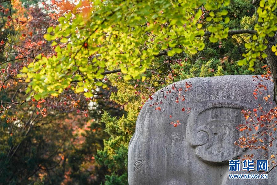 决战天梯 《圣剑契约》首部资料片即将上线[多图]