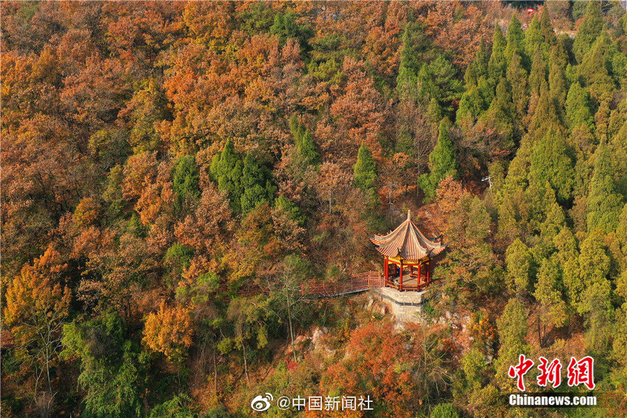 亚洲一区二区免费