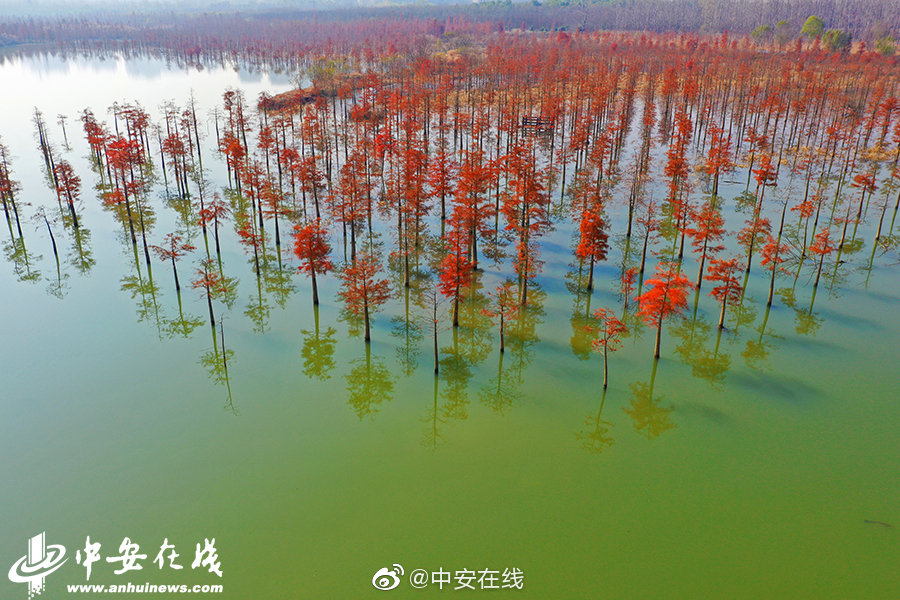 chinese麻豆HDXXXmo