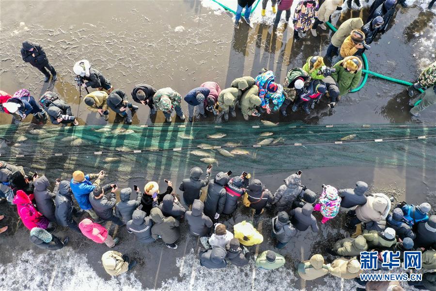 免费曰老熟视屏