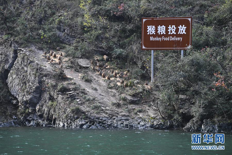 腾讯微博怎样设置拜访权限