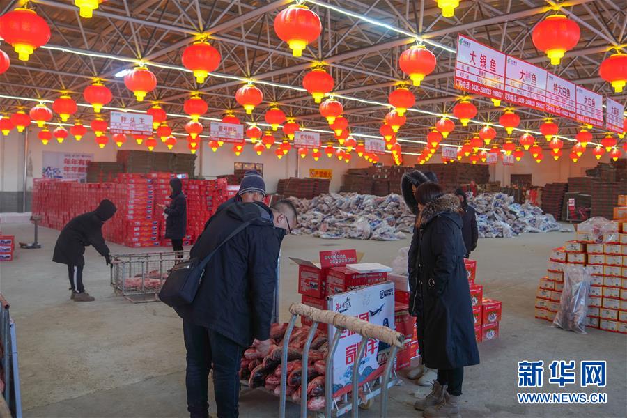 无码专区免费