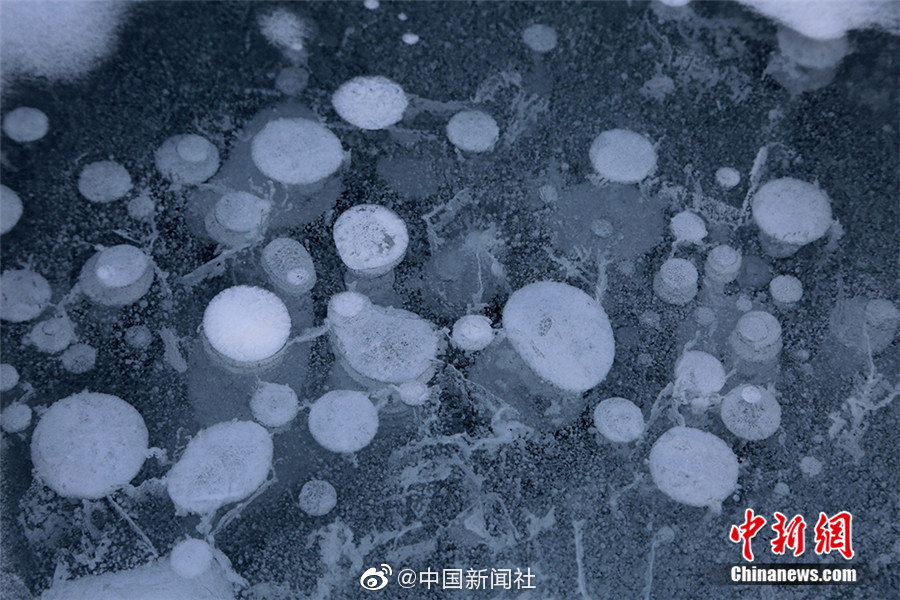 好吊操这里只有精品