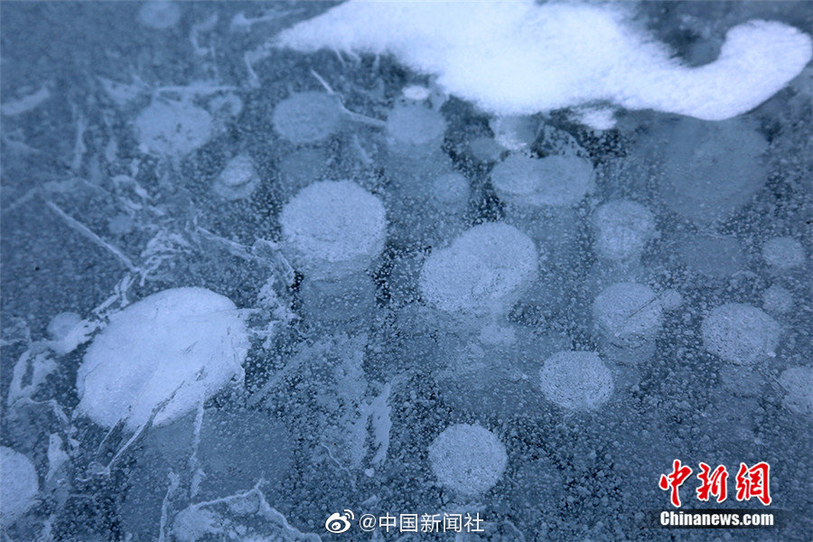 张筱雨两腿之间毛毛图片