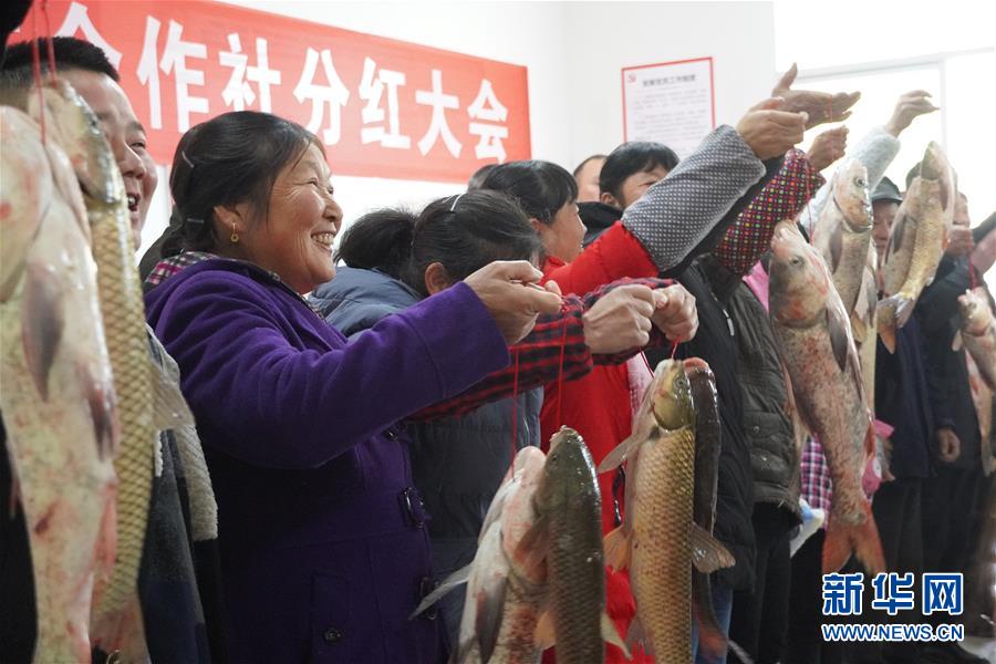 荷兰世姓交大比赛视频