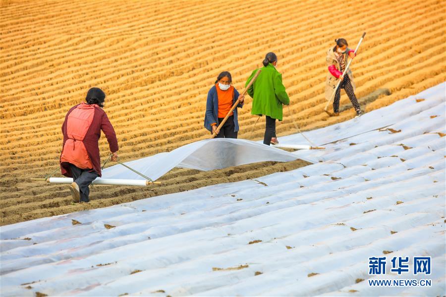 校花邀你修仙《校花的贴身高手》今日双端公测[多图]