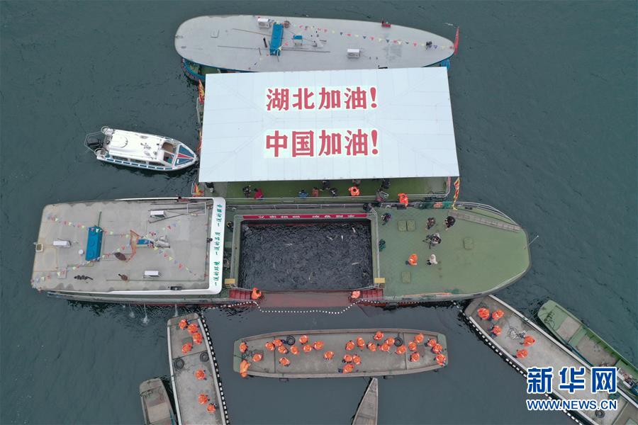 中国老头与老太做爰
