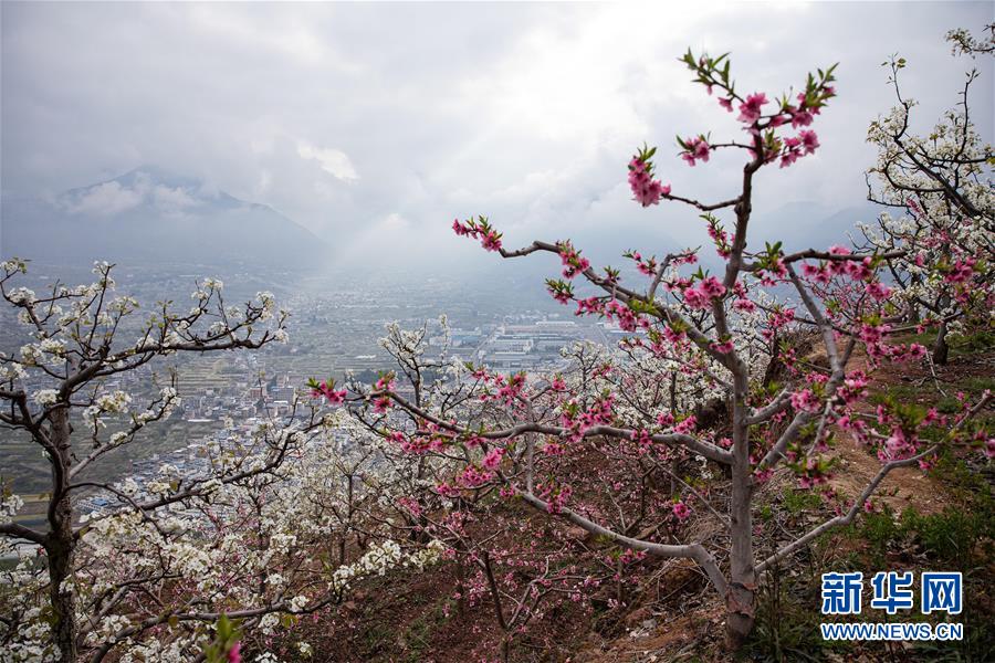 厨房脱岳裙子在后面挺电影