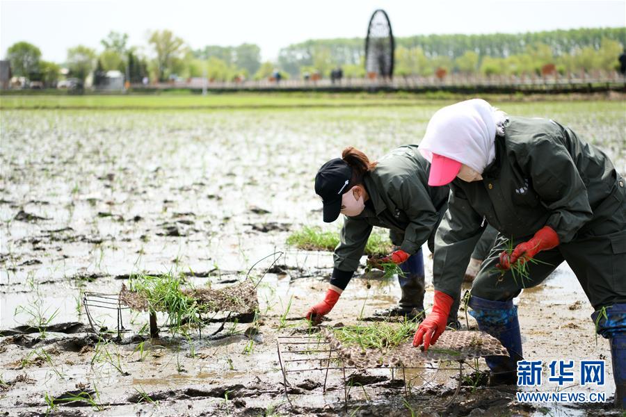 施密特2018年足協杯決賽首回合賽後講話：幹死他們，他們不可能贏