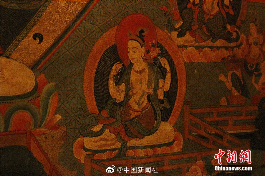 欧美老妇人性生活视频免费看