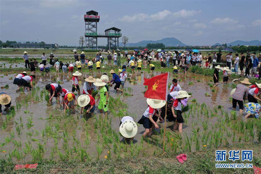 我和护士性电影