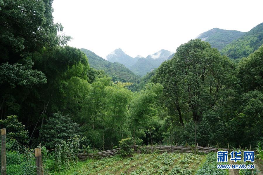 憂木瞳