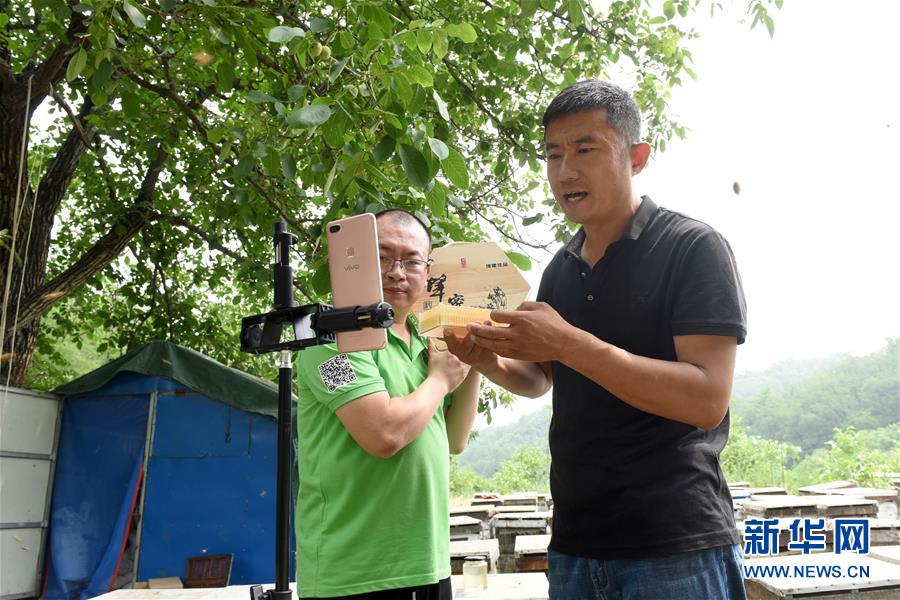 国产又爽 又黄 免费软件