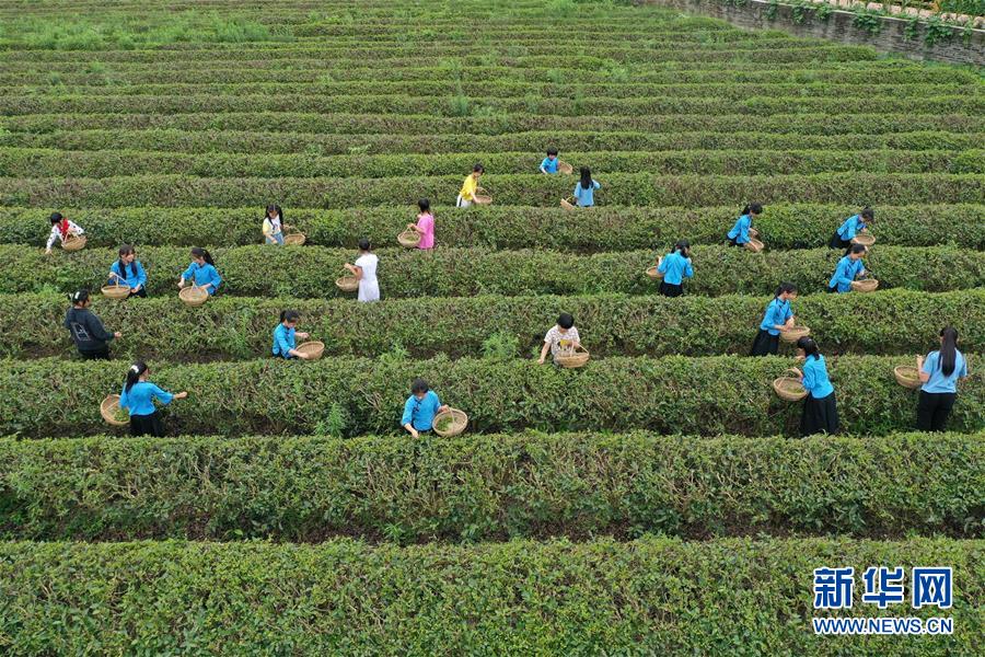 《轨迹》贪吃蛇打飞机结合体 登陆iOS平台[多图]