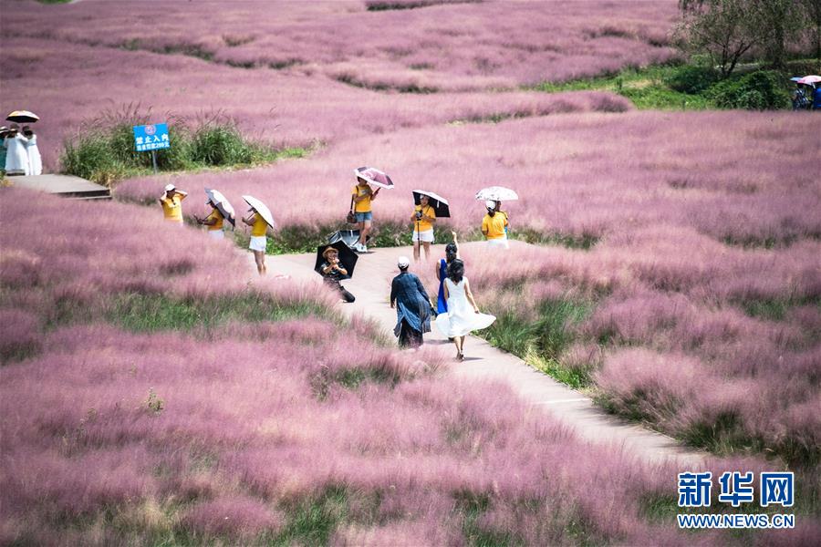 陈冠希实干张柏芝AⅤ片