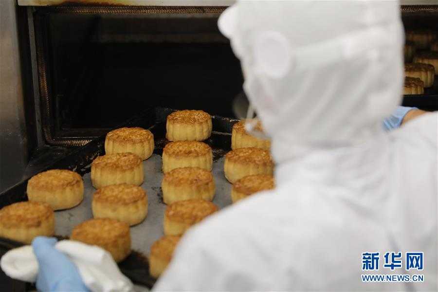蘑菇mogu官网入口更新