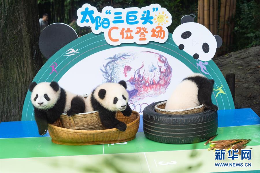 毛片久久