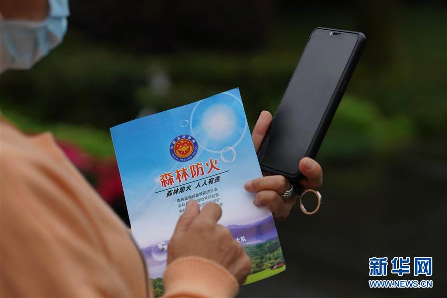 国产精品久久久久久久久久红粉